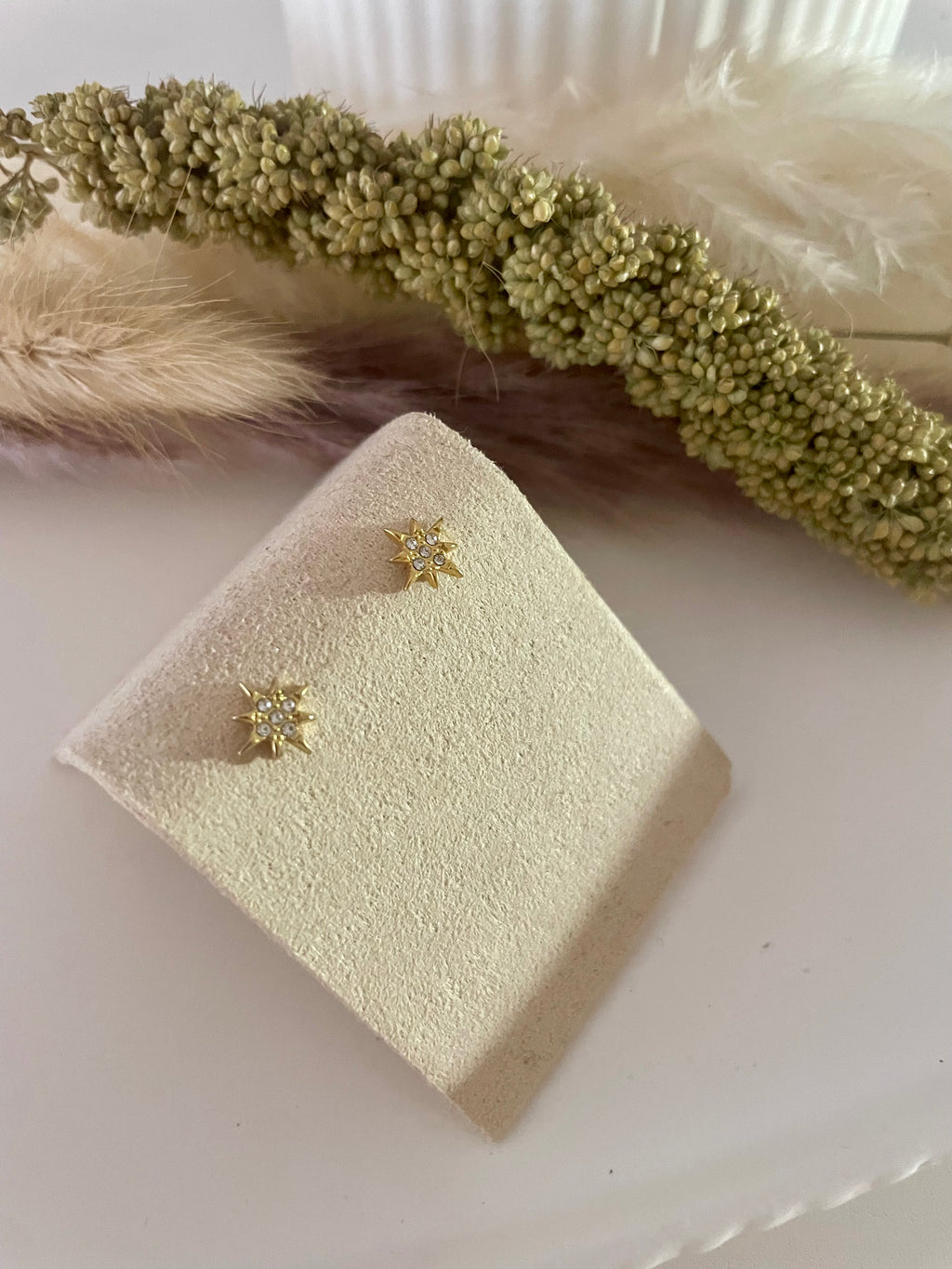 Puces d'Oreille Étoile